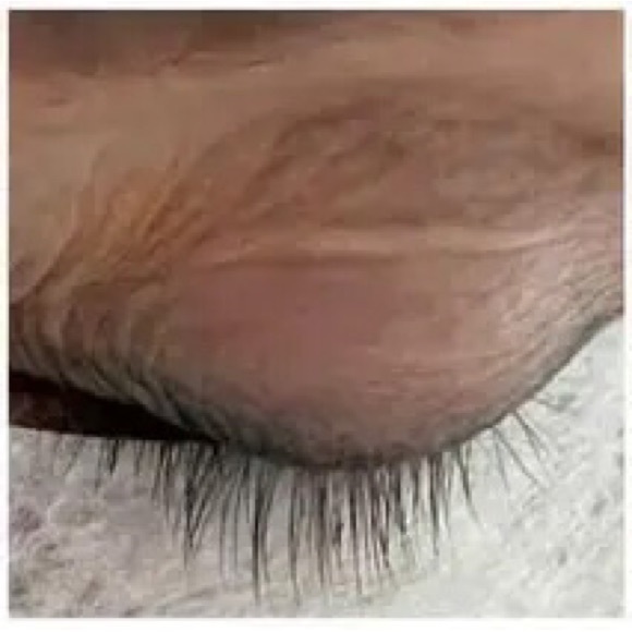 Lash Serum Longer Lusher Lashes Brows NEW SEALED ITEM FINAL SALE - Picture 6 of 7